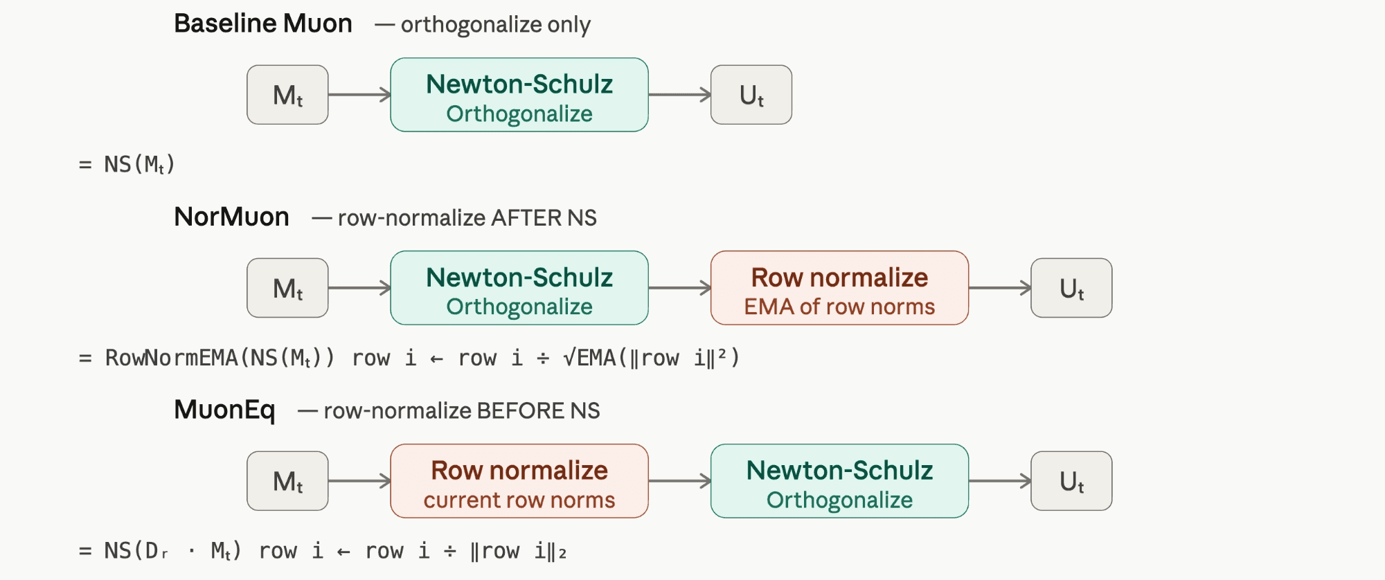 Visual explanation of NorMuon and MuonEq normalization around Newton-Schulz